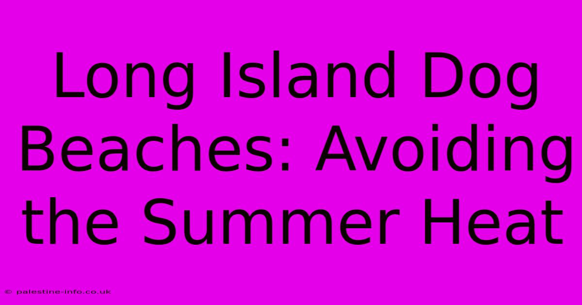 Long Island Dog Beaches: Avoiding The Summer Heat