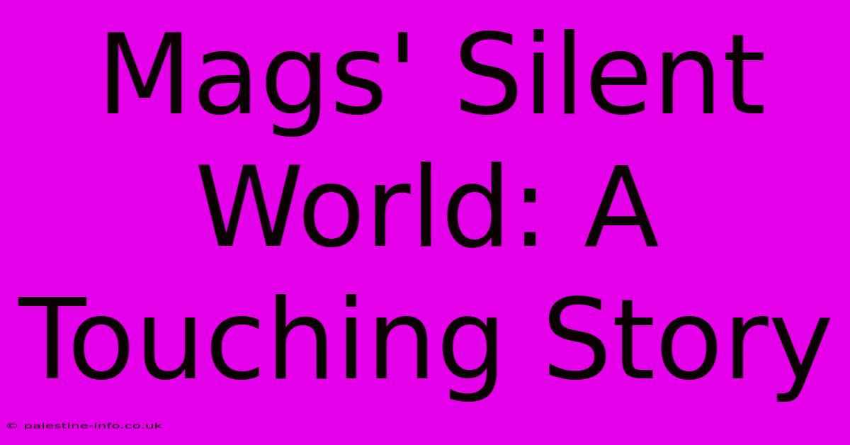 Mags' Silent World: A Touching Story