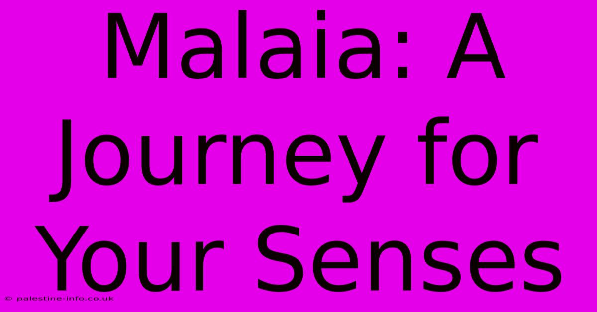 Malaia: A Journey For Your Senses