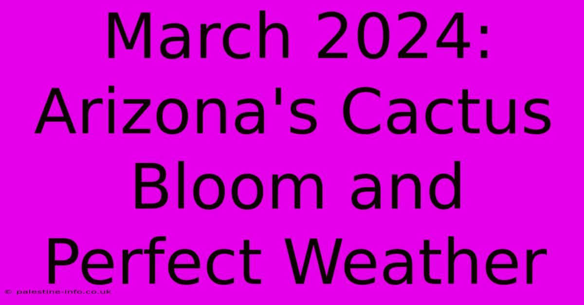 March 2024: Arizona's Cactus Bloom And Perfect Weather