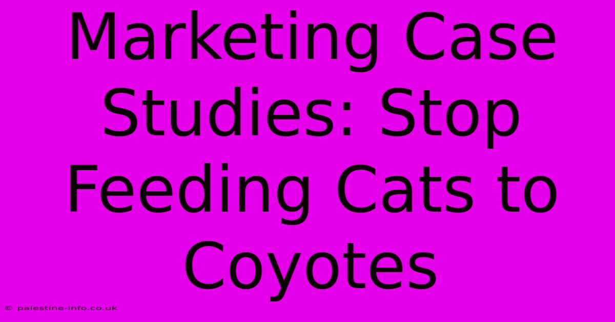 Marketing Case Studies: Stop Feeding Cats To Coyotes