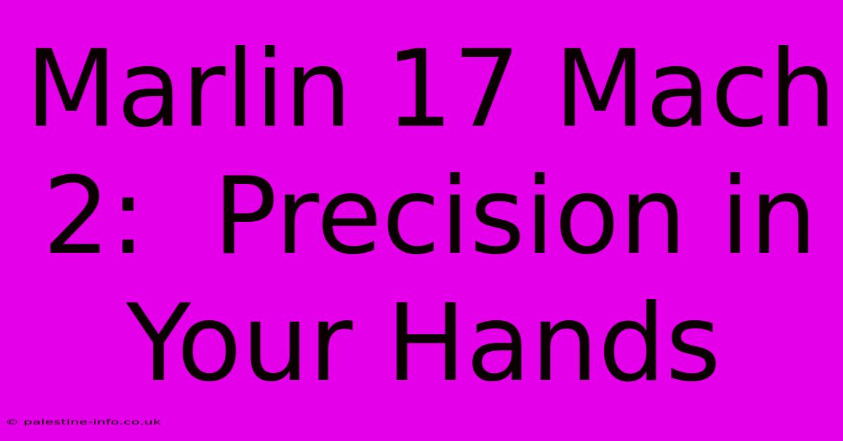 Marlin 17 Mach 2:  Precision In Your Hands