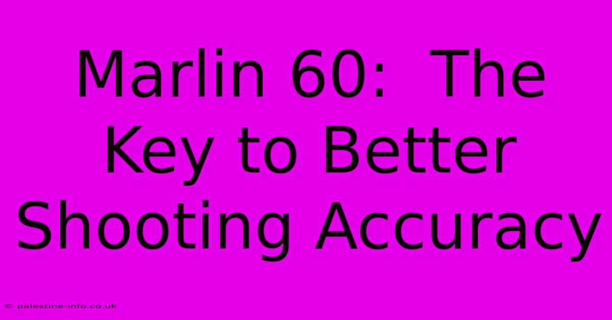 Marlin 60:  The Key To Better Shooting Accuracy