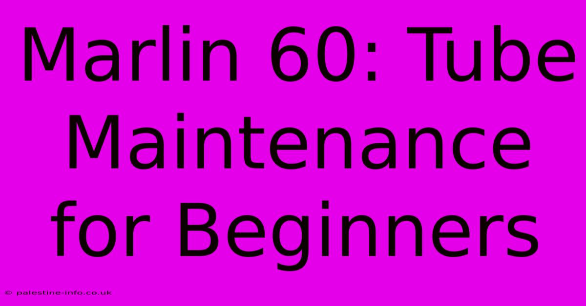 Marlin 60: Tube Maintenance For Beginners