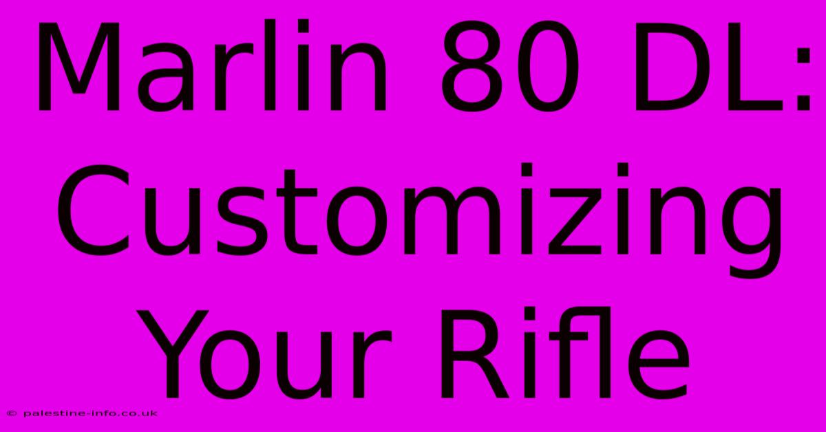 Marlin 80 DL:  Customizing Your Rifle