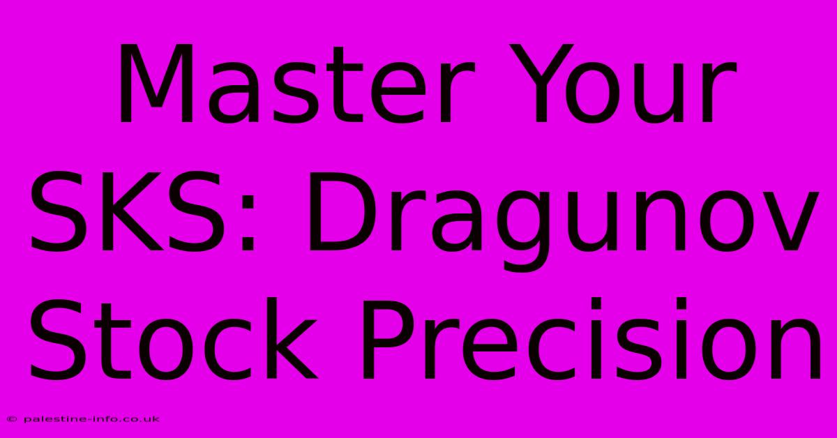 Master Your SKS: Dragunov Stock Precision