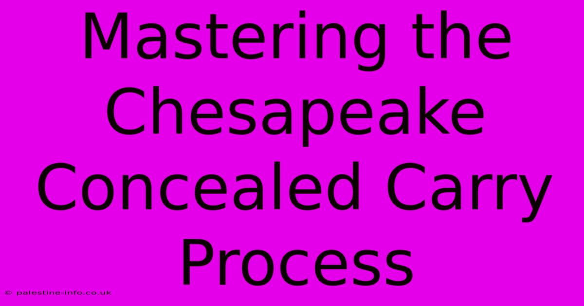 Mastering The Chesapeake Concealed Carry Process