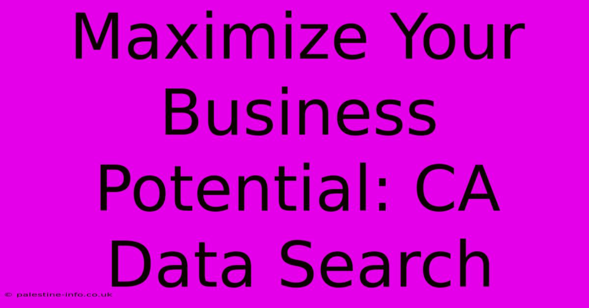 Maximize Your Business Potential: CA Data Search