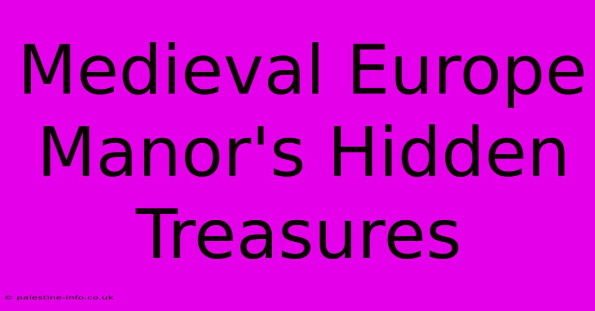 Medieval Europe Manor's Hidden Treasures