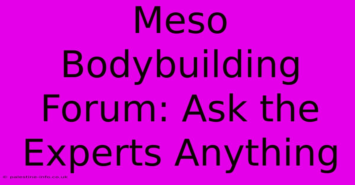 Meso Bodybuilding Forum: Ask The Experts Anything