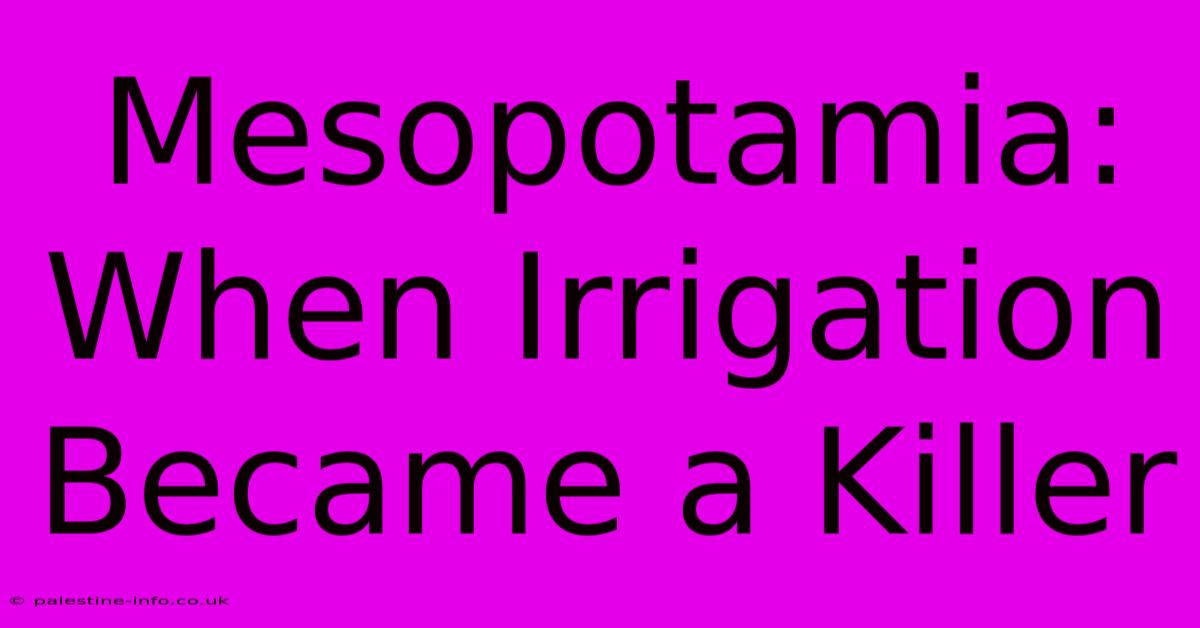 Mesopotamia: When Irrigation Became A Killer