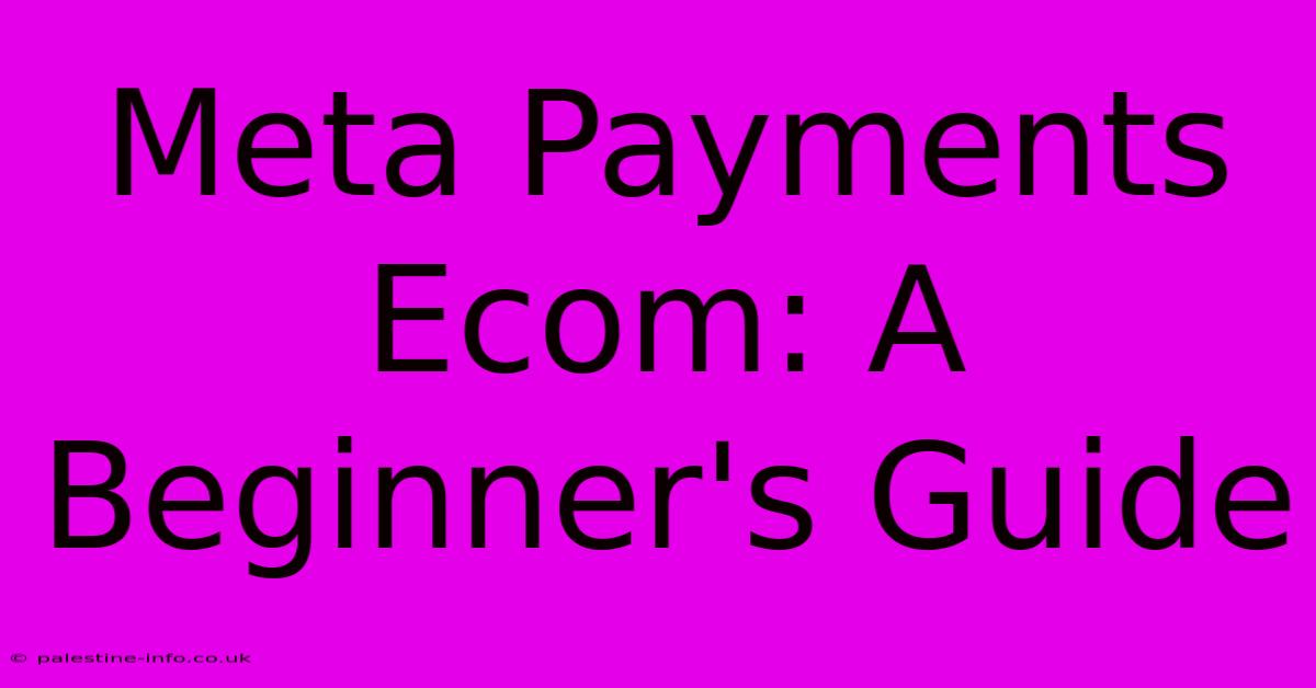 Meta Payments Ecom: A Beginner's Guide