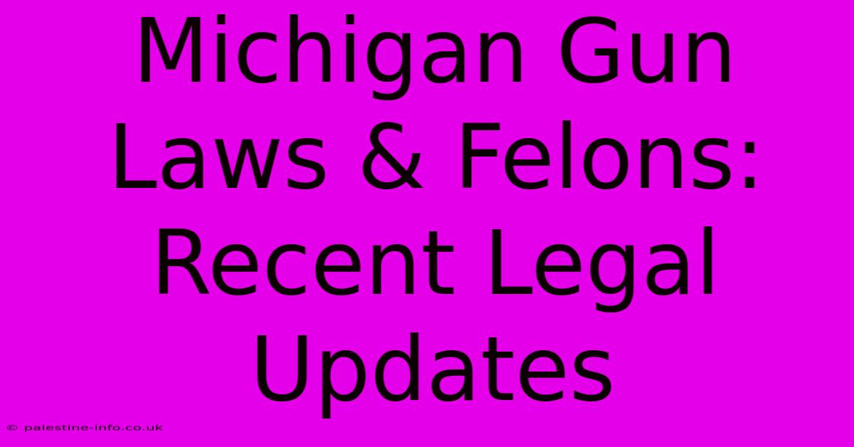 Michigan Gun Laws & Felons: Recent Legal Updates