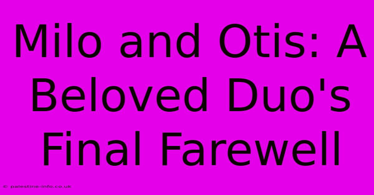 Milo And Otis: A Beloved Duo's Final Farewell