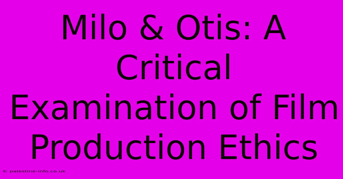 Milo & Otis: A Critical Examination Of Film Production Ethics