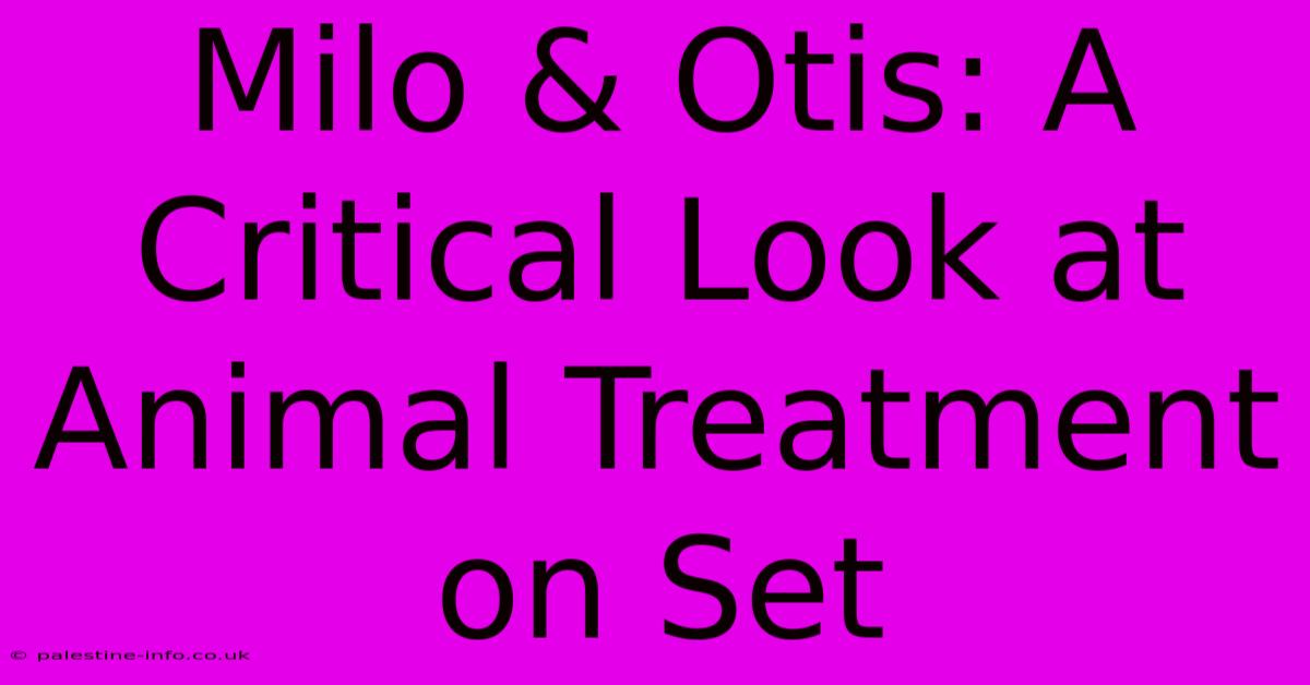 Milo & Otis: A Critical Look At Animal Treatment On Set