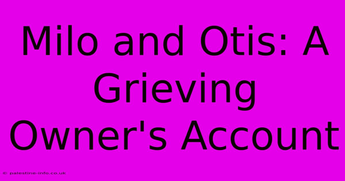 Milo And Otis: A Grieving Owner's Account