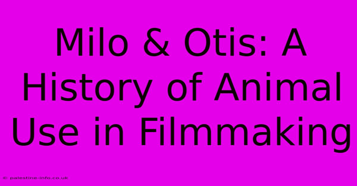 Milo & Otis: A History Of Animal Use In Filmmaking