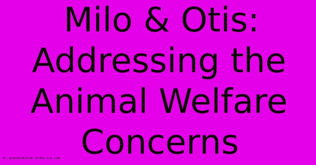 Milo & Otis: Addressing The Animal Welfare Concerns