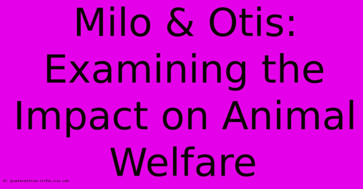 Milo & Otis: Examining The Impact On Animal Welfare