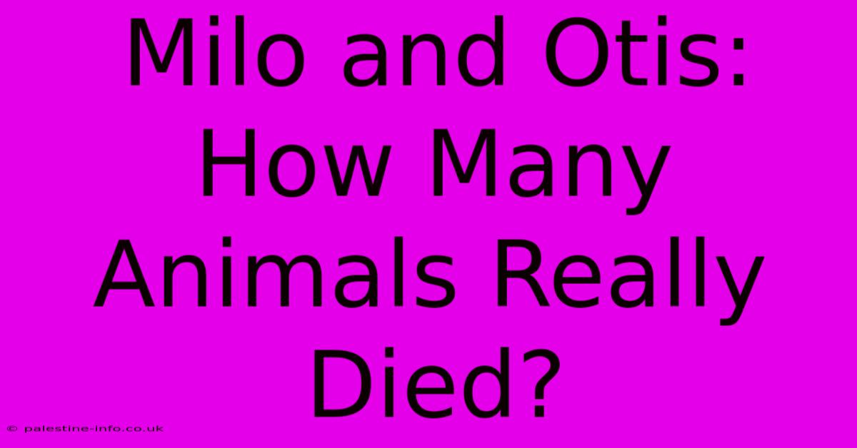 Milo And Otis: How Many Animals Really Died?