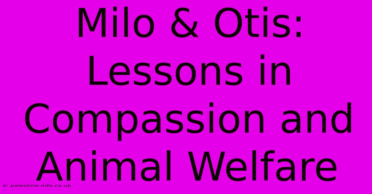 Milo & Otis: Lessons In Compassion And Animal Welfare