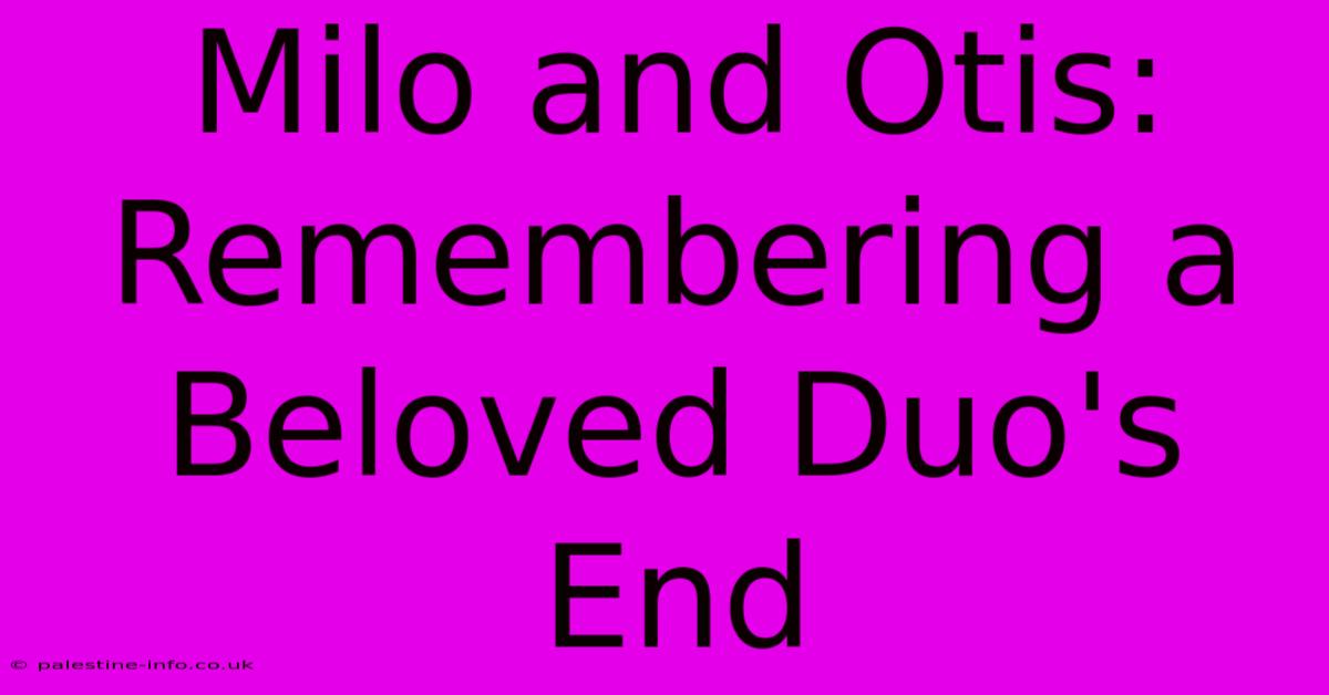 Milo And Otis:  Remembering A Beloved Duo's End