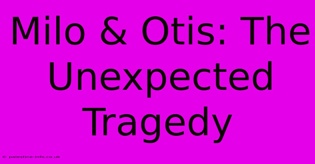 Milo & Otis: The Unexpected Tragedy