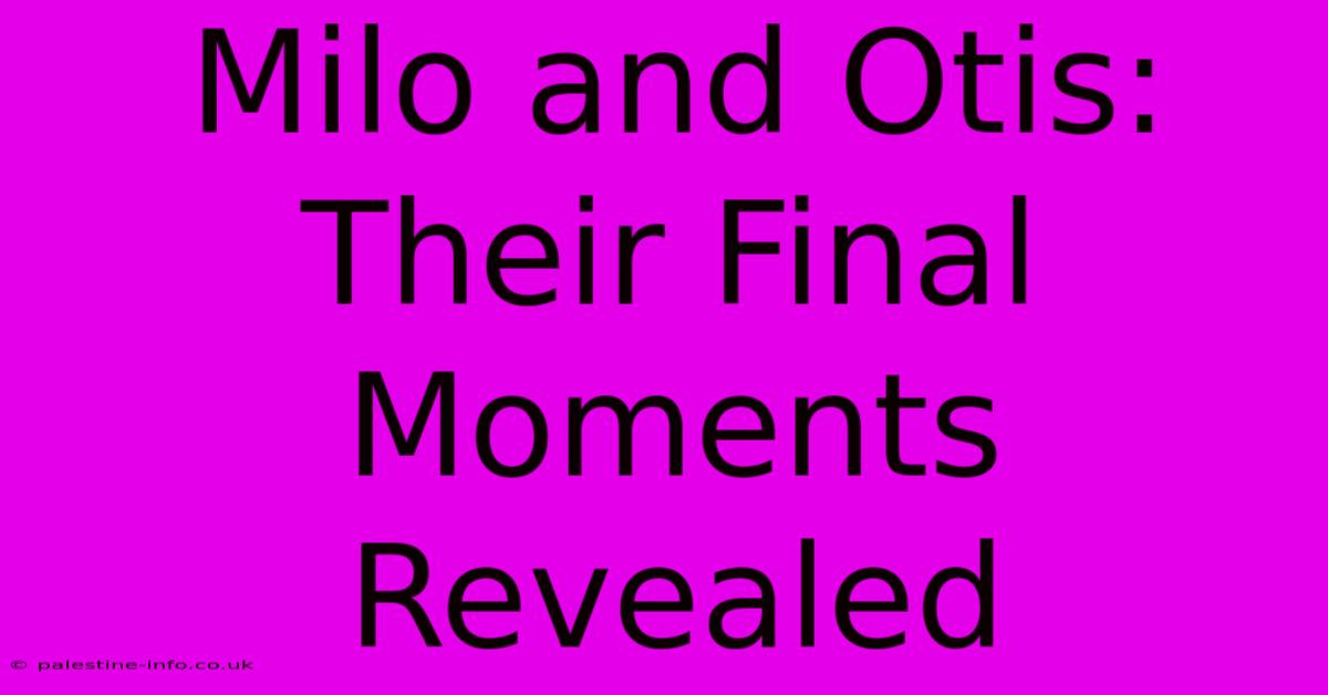 Milo And Otis: Their Final Moments Revealed