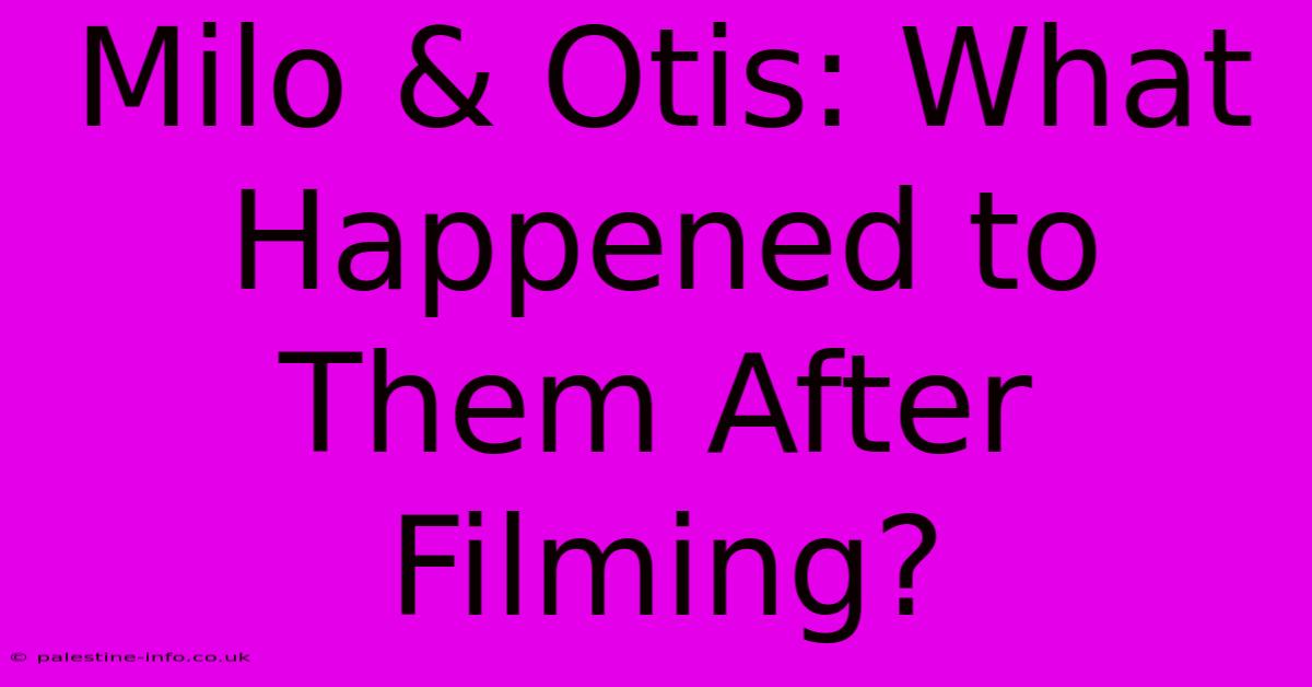 Milo & Otis: What Happened To Them After Filming?