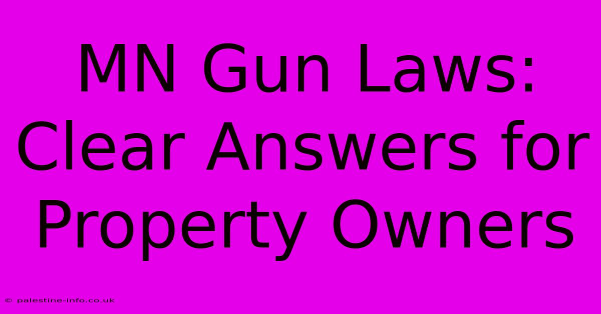 MN Gun Laws: Clear Answers For Property Owners