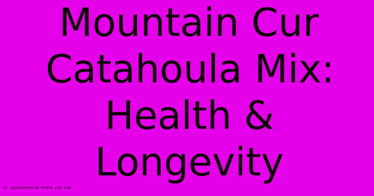 Mountain Cur Catahoula Mix:  Health & Longevity