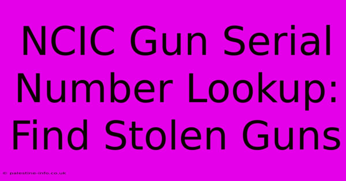 NCIC Gun Serial Number Lookup: Find Stolen Guns