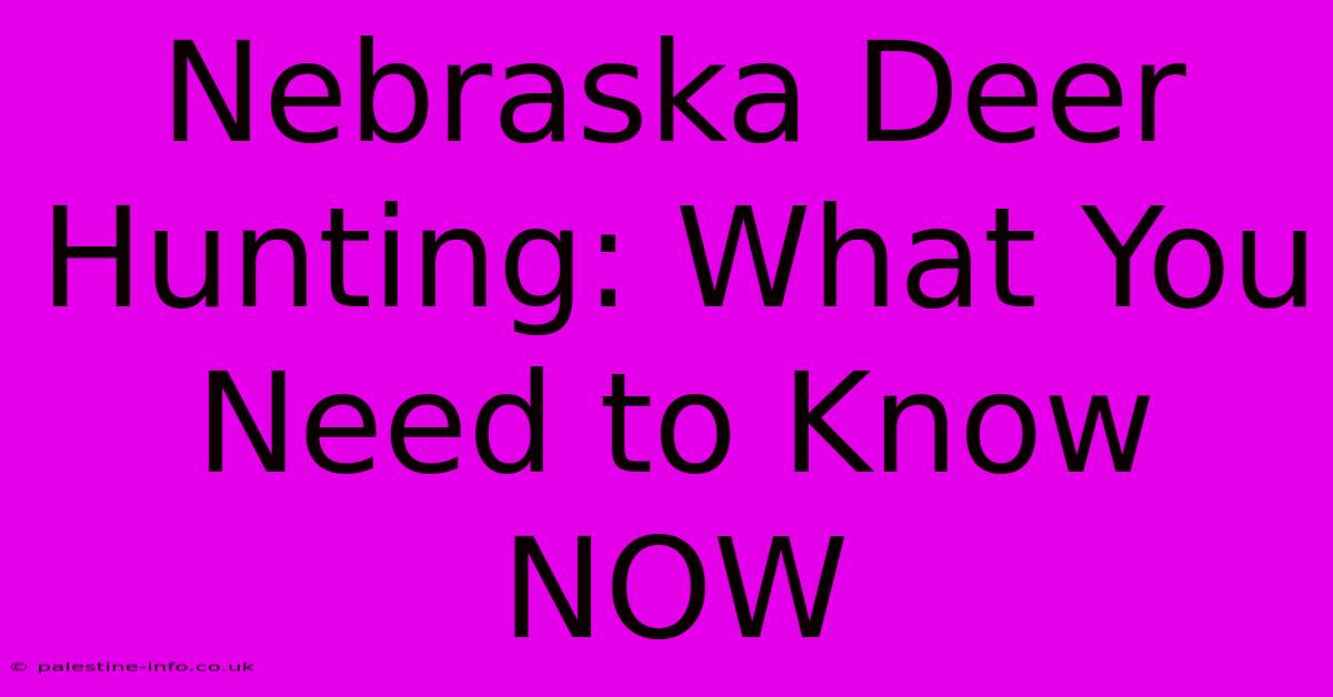 Nebraska Deer Hunting: What You Need To Know NOW