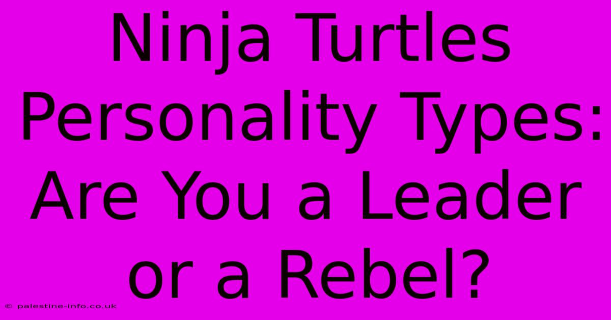 Ninja Turtles Personality Types: Are You A Leader Or A Rebel?