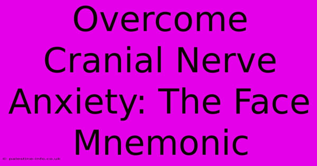 Overcome Cranial Nerve Anxiety: The Face Mnemonic