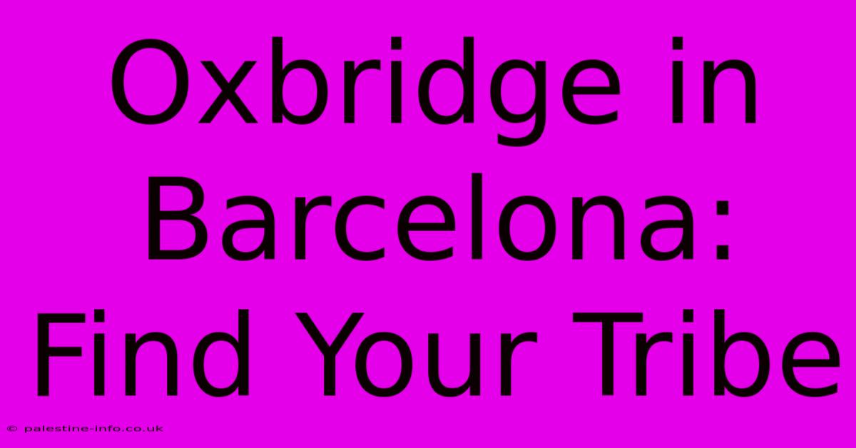 Oxbridge In Barcelona: Find Your Tribe