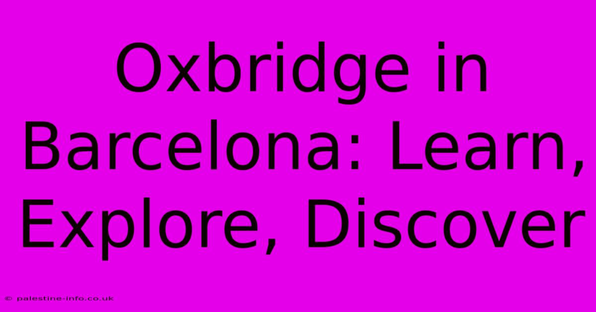 Oxbridge In Barcelona: Learn, Explore, Discover