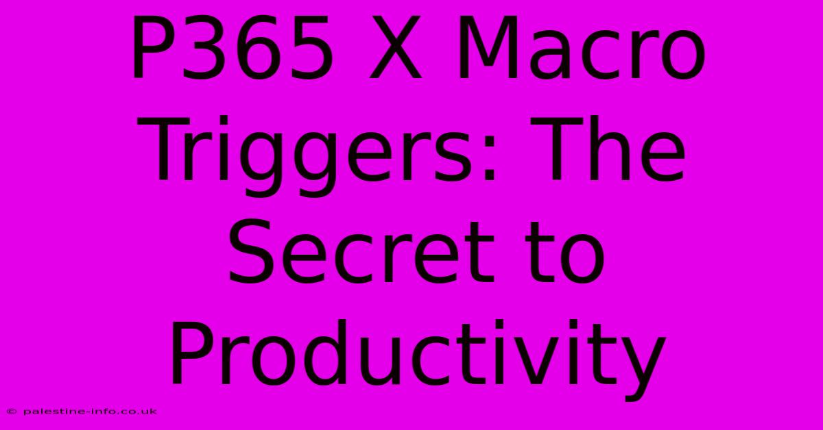 P365 X Macro Triggers: The Secret To Productivity