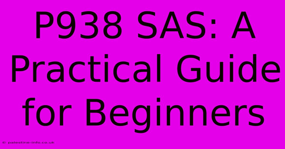 P938 SAS: A Practical Guide For Beginners