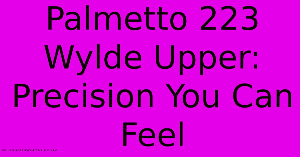 Palmetto 223 Wylde Upper: Precision You Can Feel