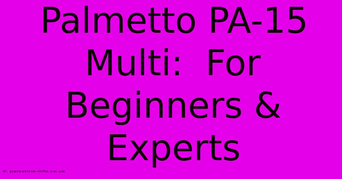 Palmetto PA-15 Multi:  For Beginners & Experts