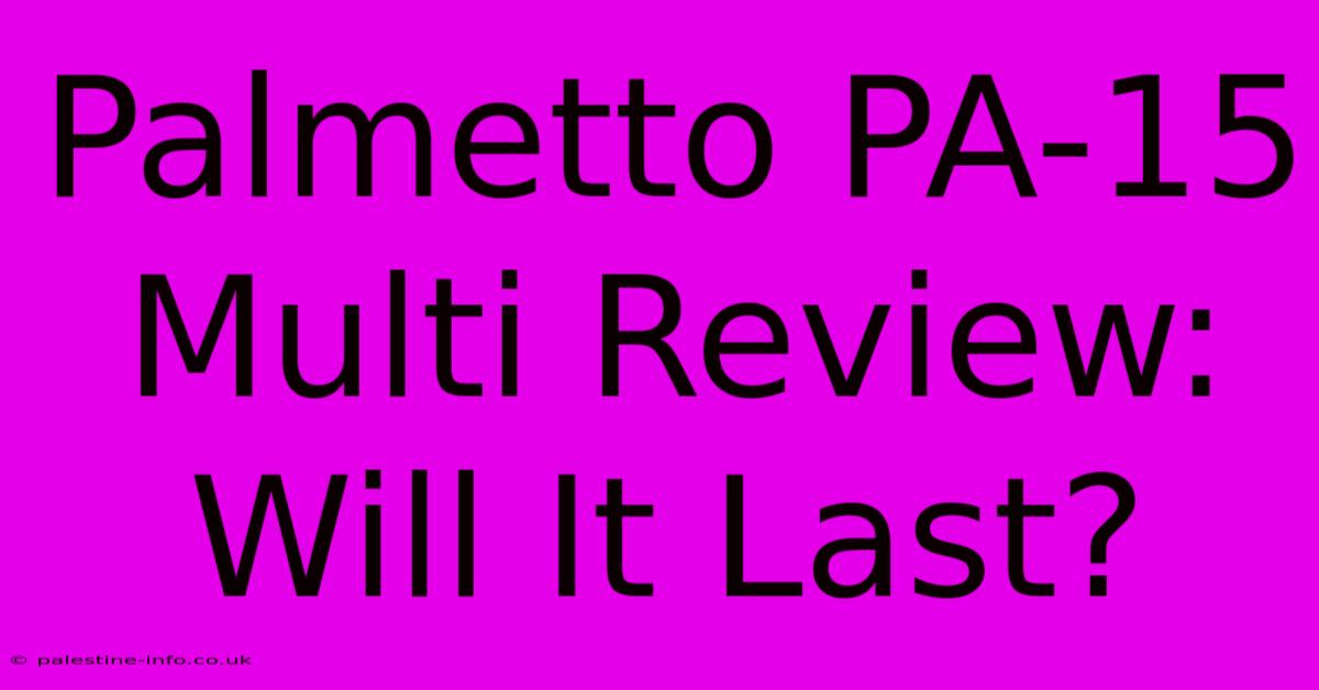 Palmetto PA-15 Multi Review: Will It Last?