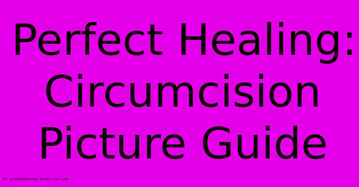 Perfect Healing:  Circumcision Picture Guide