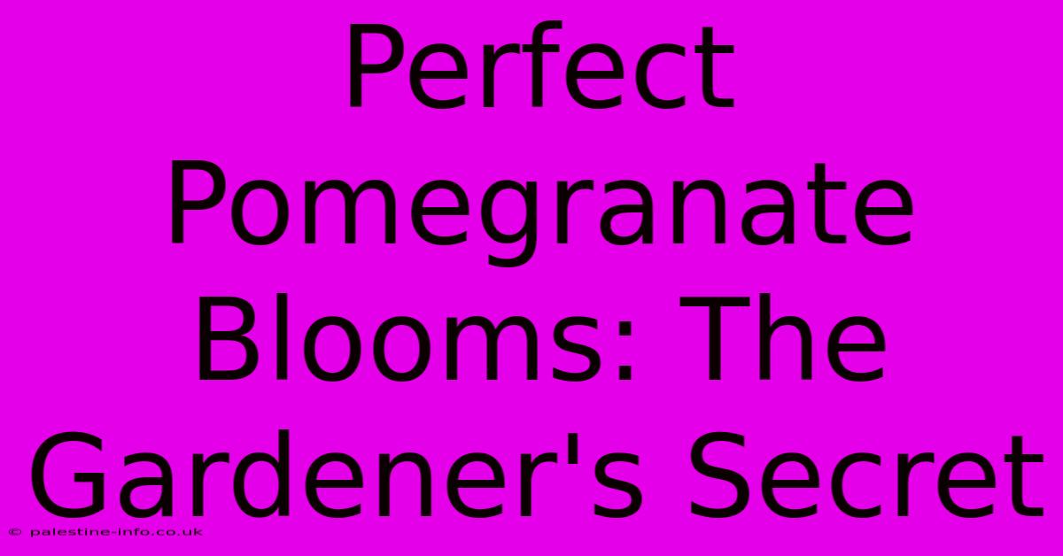 Perfect Pomegranate Blooms: The Gardener's Secret