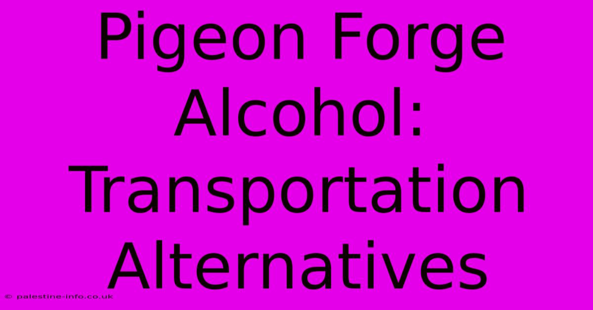 Pigeon Forge Alcohol:  Transportation Alternatives