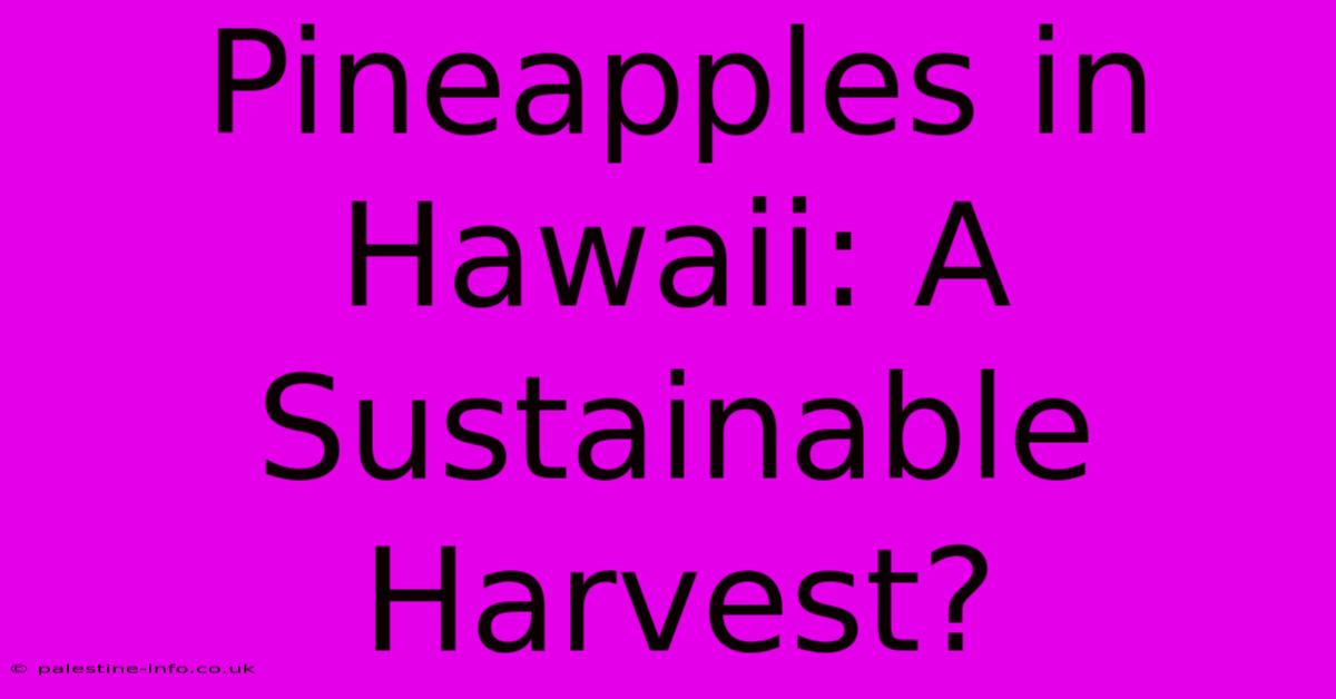 Pineapples In Hawaii: A Sustainable Harvest?