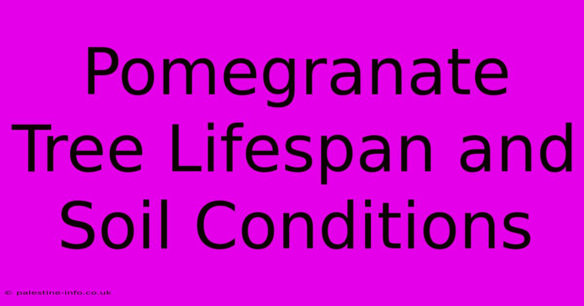 Pomegranate Tree Lifespan And Soil Conditions