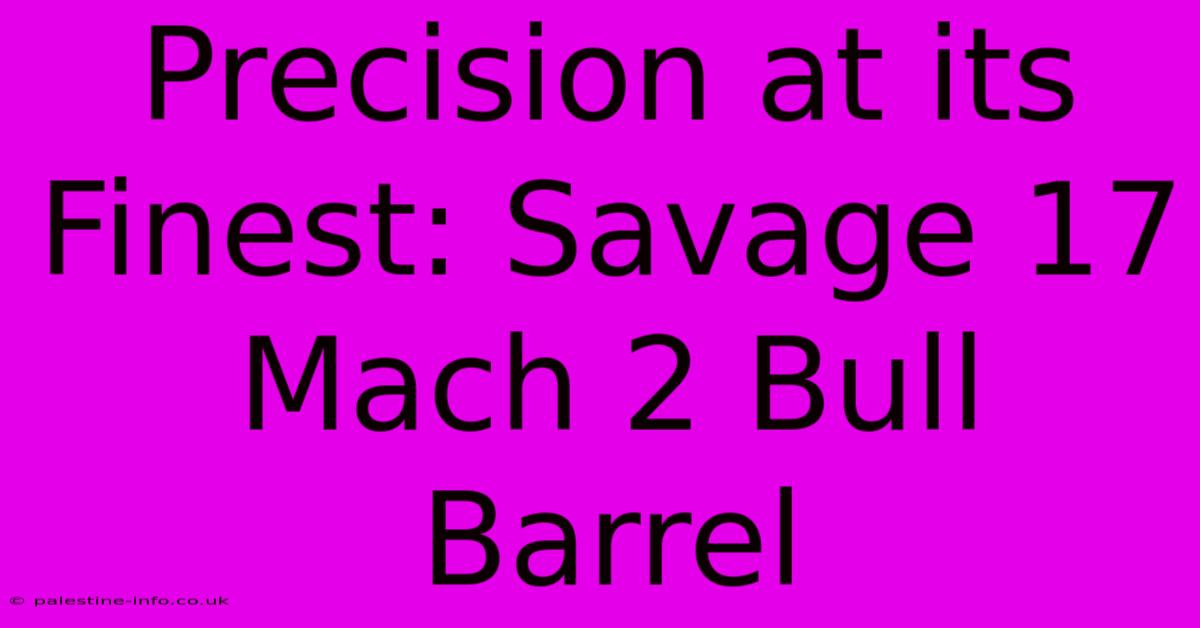 Precision At Its Finest: Savage 17 Mach 2 Bull Barrel