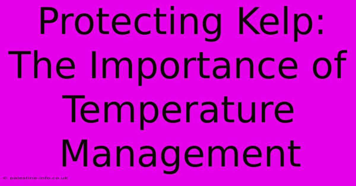 Protecting Kelp: The Importance Of Temperature Management